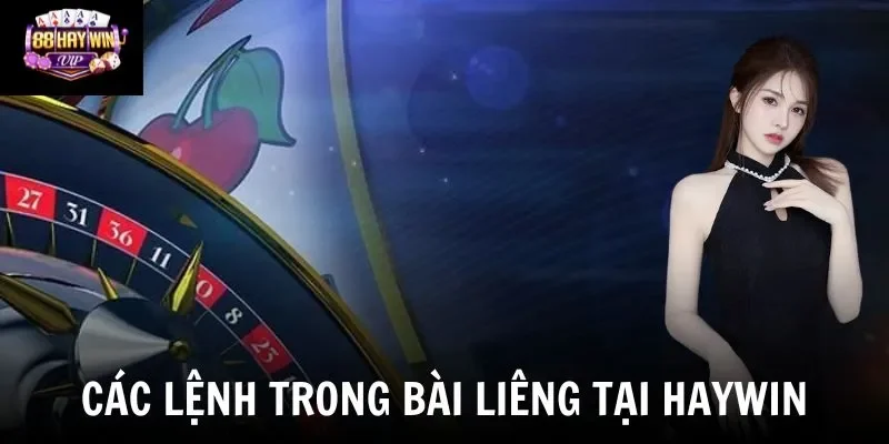 Các lệnh trong bài liêng tại Haywin